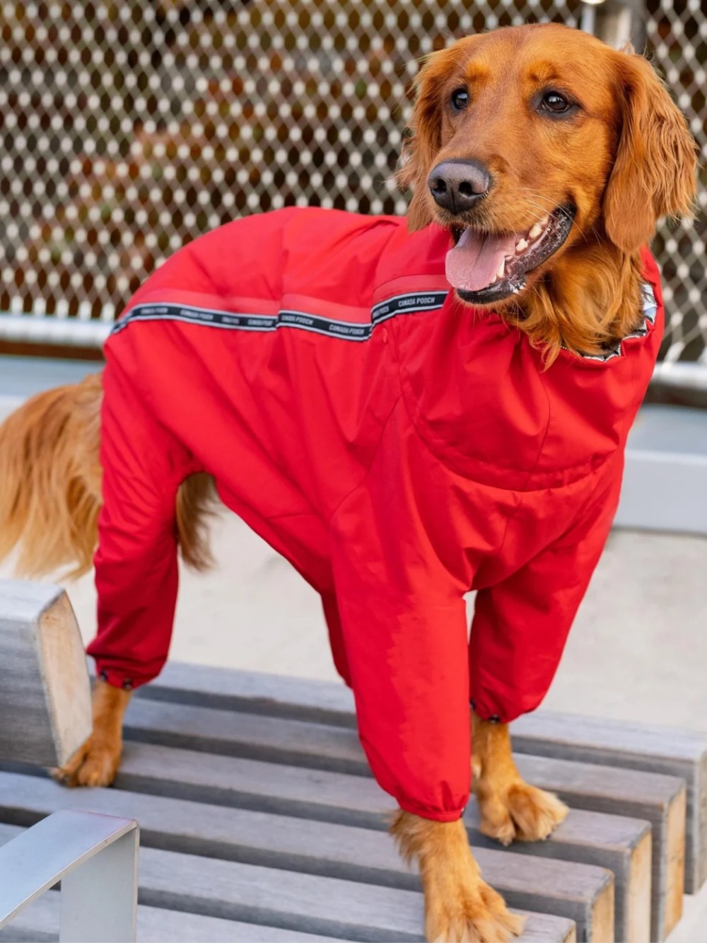 Canada Pooch Slush Suit Red Long Sleeve Zippered. Size 20